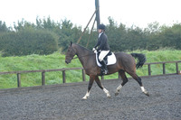 dressage-6757