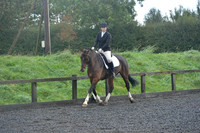 dressage-6745