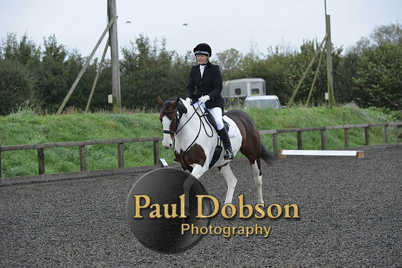 dressage-5920
