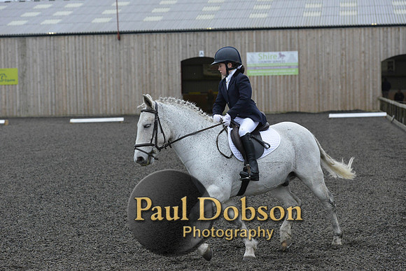 dressage-5986
