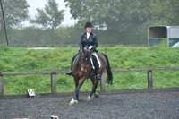 dressage-6461