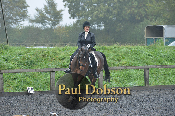 dressage-6461