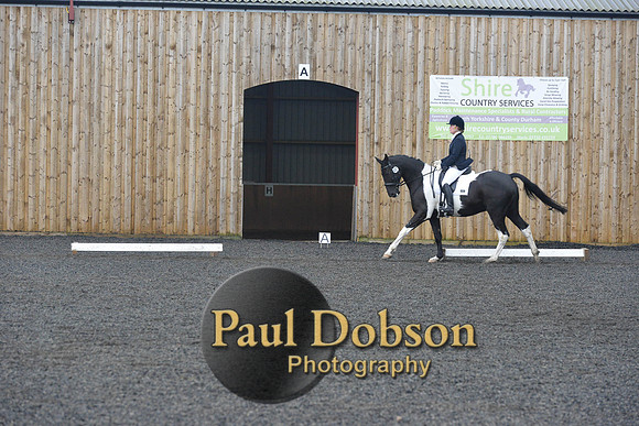 dressage-7244