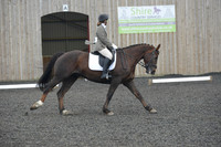 dressage-4888