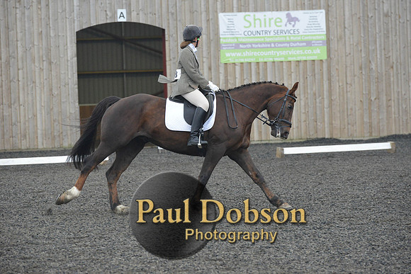 dressage-4888