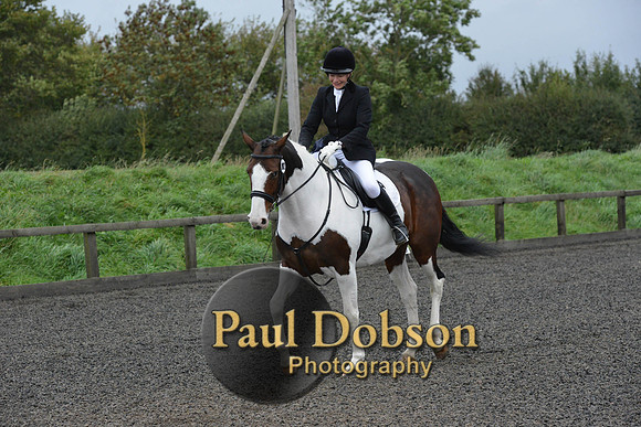 dressage-5946