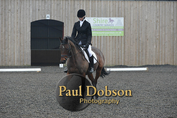 dressage-5875