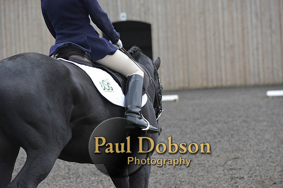 dressage-5911