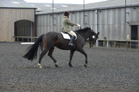 dressage-6288