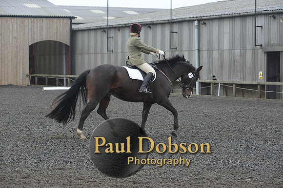 dressage-6288