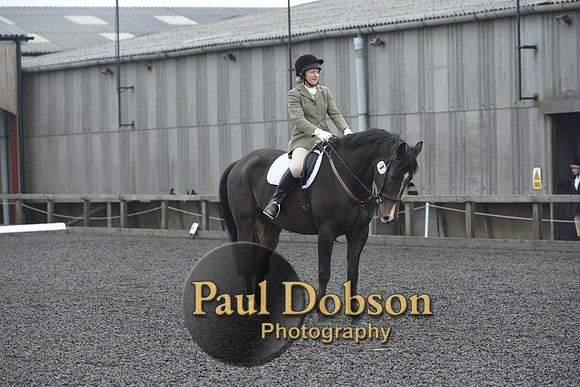 dressage-6308