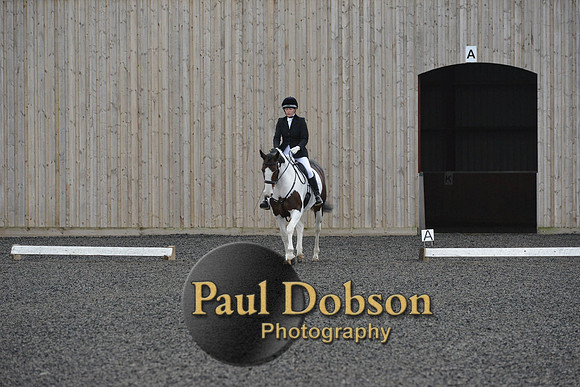 dressage-5918