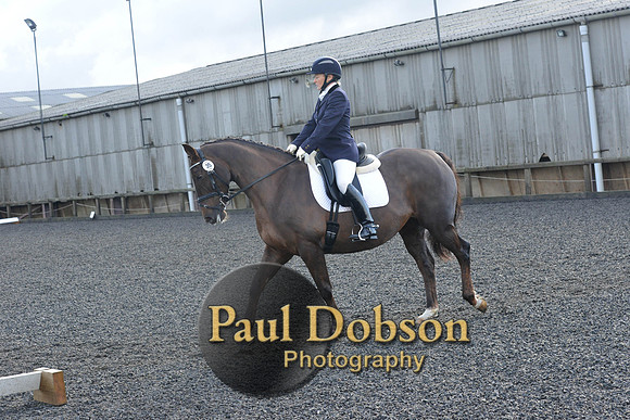 dressage-6873