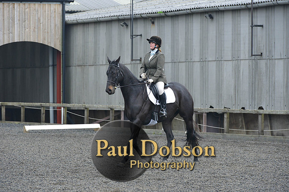 dressage-5458