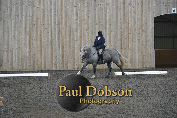 dressage-4914
