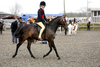 n_c_4784b