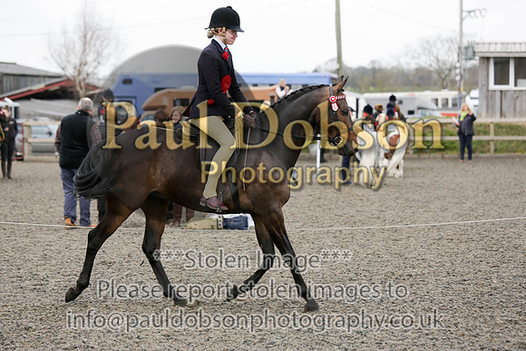 n_c_4784b