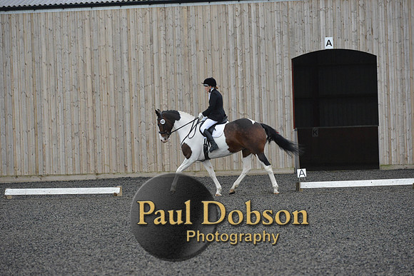 dressage-5922