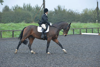 dressage-6458