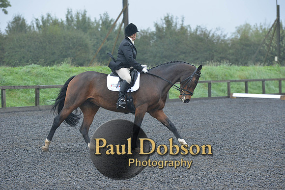 dressage-6458