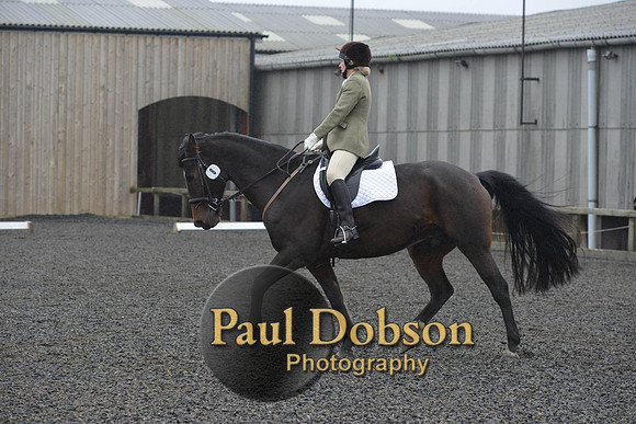 dressage-6280