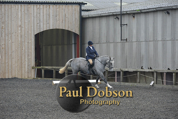 dressage-4908