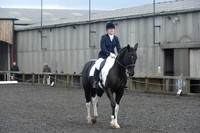 dressage-7248