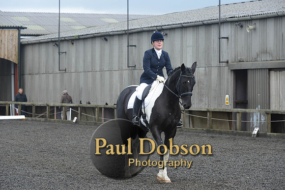 dressage-7248