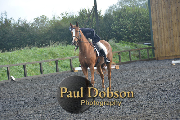 dressage-6806