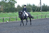 dressage-6852