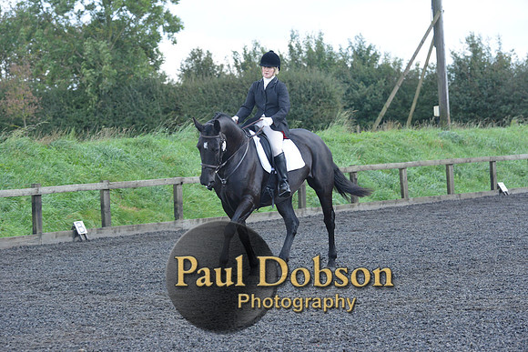 dressage-6852