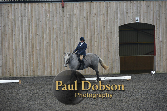 dressage-4917