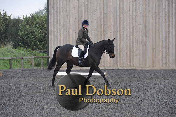 dressage-5178