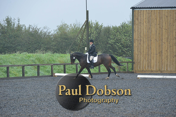 dressage-6459