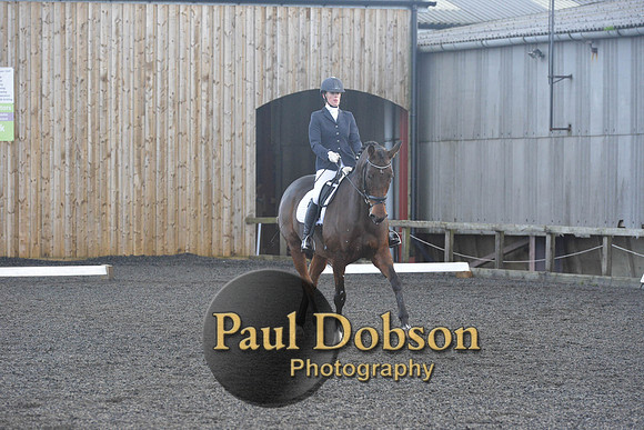 dressage-7318