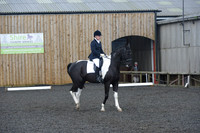 dressage-7245