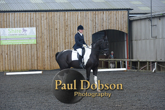 dressage-7245