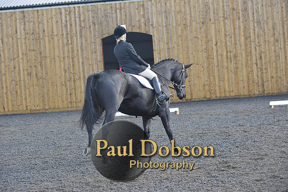 dressage-6868