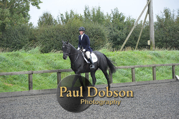 dressage-5912