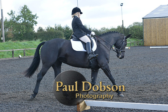 dressage-6853