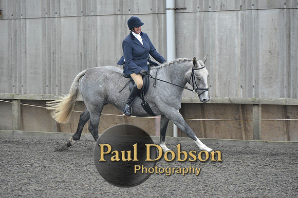dressage-4911