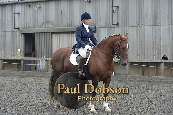 dressage-5454