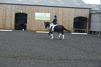 dressage-7238
