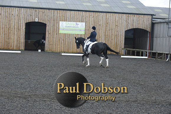 dressage-7238