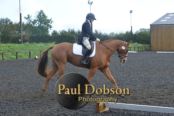 dressage-6773