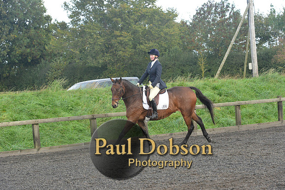 dressage-7297