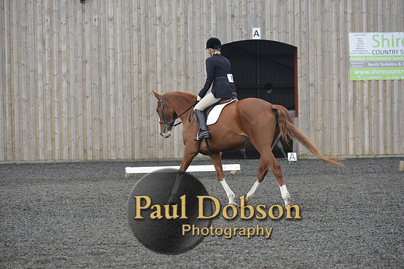 dressage-4523