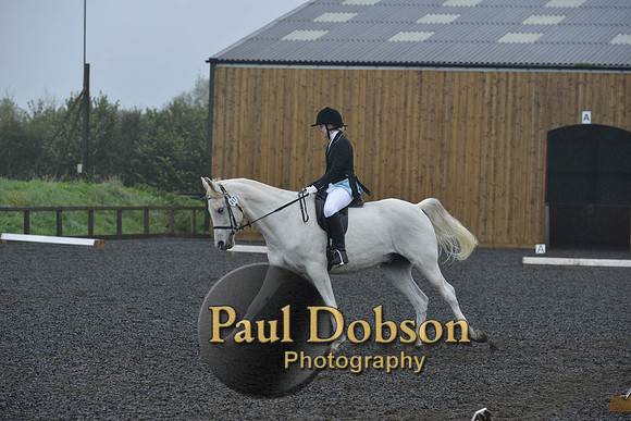 dressage-6482