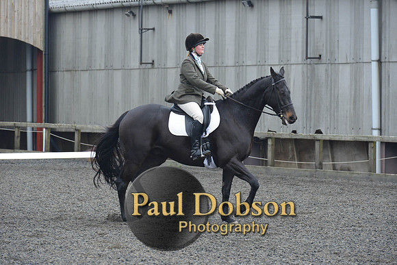 dressage-5466