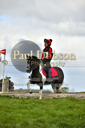 xcr_0198r